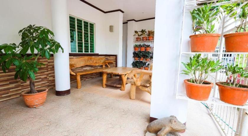 Mayon Backpackers Hostel Legazpi Exterior foto